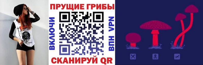 Купить где Харовск Псилоцибиновые грибы ЛСД